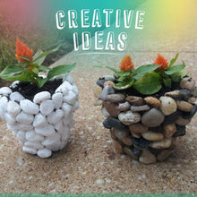 Decorative River Rock Stones (1 Set)